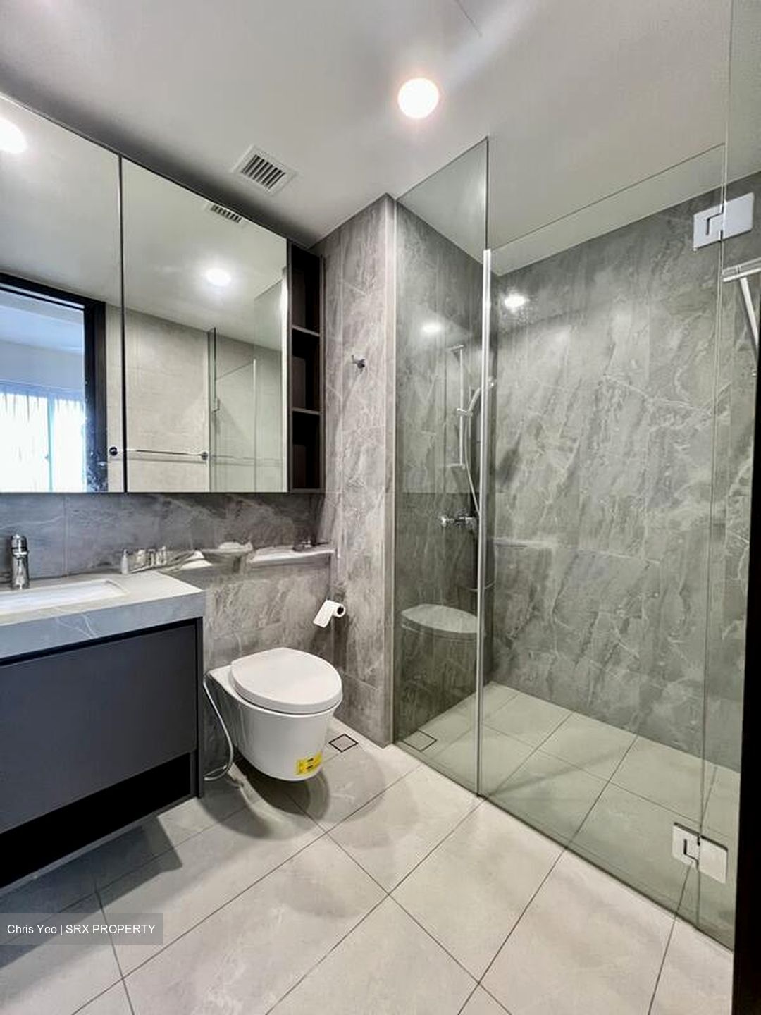 Parc Clematis (D5), Apartment #520854521